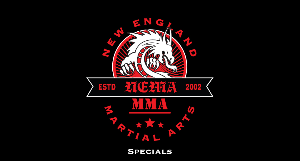 New England Martial Arts Stoughton, MA